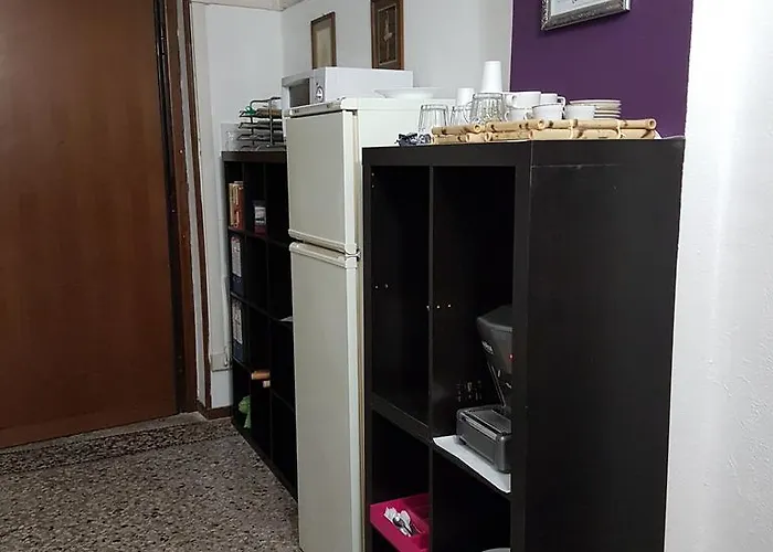 Ava Rome